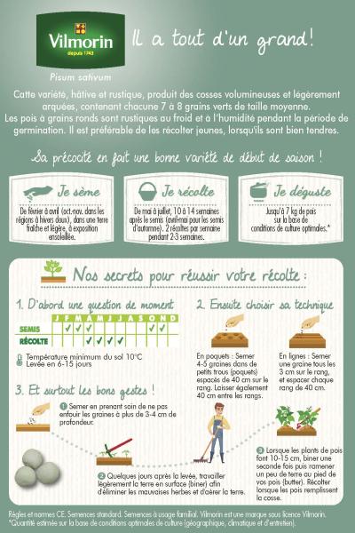 Légumes Secs - Pois Nain à Grain Rond Petit Provencal - 20 m - MEDIA_PACKAGING_VERSO
